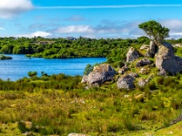 Co. Galway